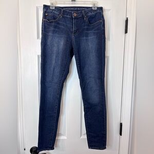 Articles of Society Indigo Skinny Jeans